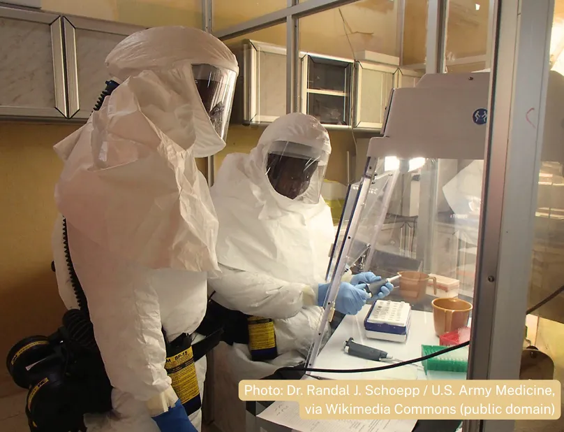 A technician sets up an assay for Ebola within a containment laboratory. Samples are handled in negative-pressure biological safety cabinets to provide an additional layer of protection. Photo by Dr. Randal J. Schoepp